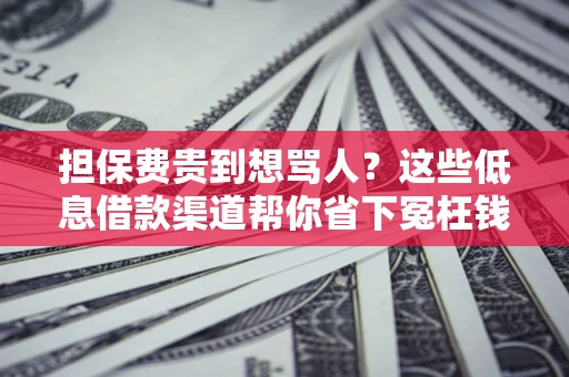 北京担保费贵到想骂人？这些低息借款渠道帮你省下冤枉钱