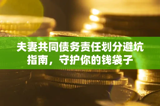 北京夫妻共同债务责任划分避坑指南，守护你的钱袋子